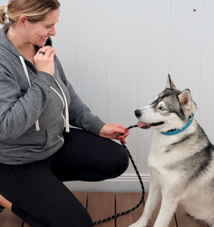Dog trainer kneeling beside a Siberian Husky during a training session in Huntington Beach, Orange County.