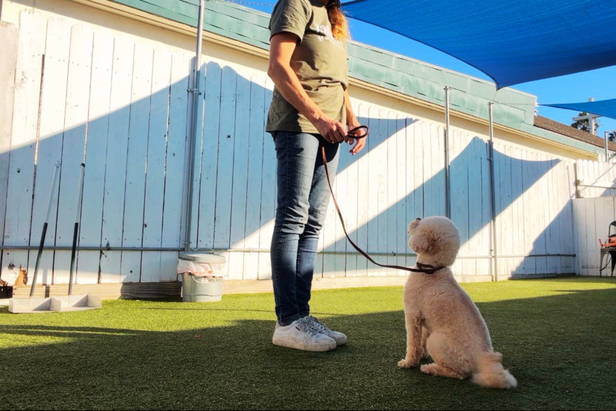 Dog trainer working on leash training and sit command with a small dog during a private lesson in Huntington Beach – Choosing the Right Dog Trainer | Beachside Dog Training