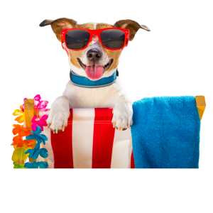 Untitled design (90)